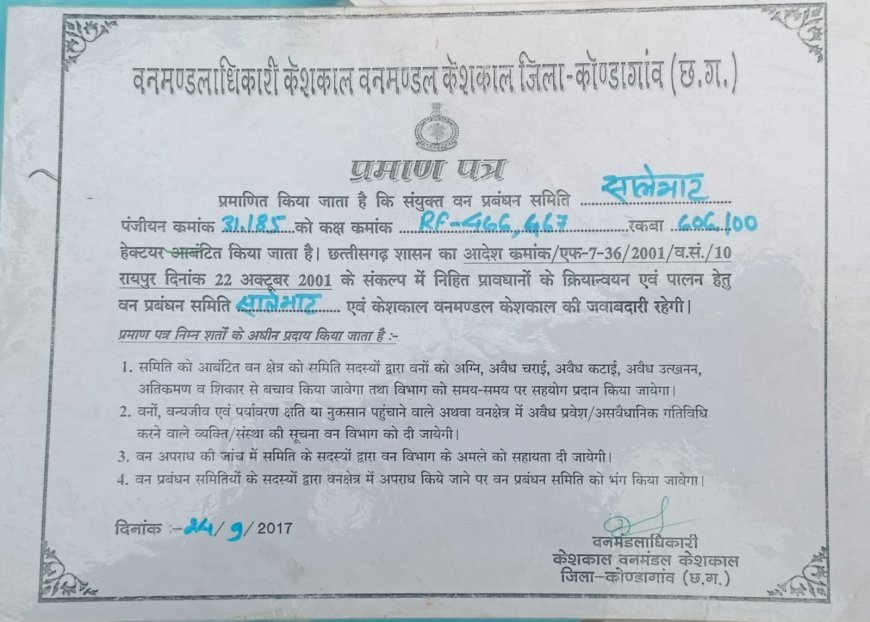 चिपरेल में वनभूमि पर कथित अतिक्रमण का विवाद, छह महीने से समाधान का इंतजार