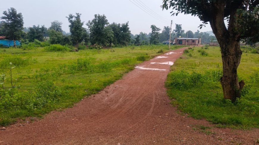 शासकीय कर्मचारियों पर अवैध प्लाटिंग में शामिल होने के आरोप, मोहला में जमीन कारोबार को लेकर उठे सवाल