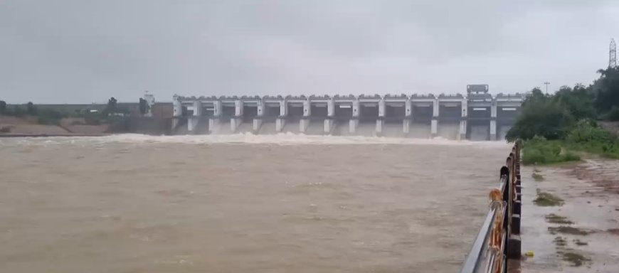 जलाशयों में बढ़ा जलस्तर, महानदी में छोड़ा जा रहा बड़ी मात्रा में पानी; तटीय गांवों में अलर्ट