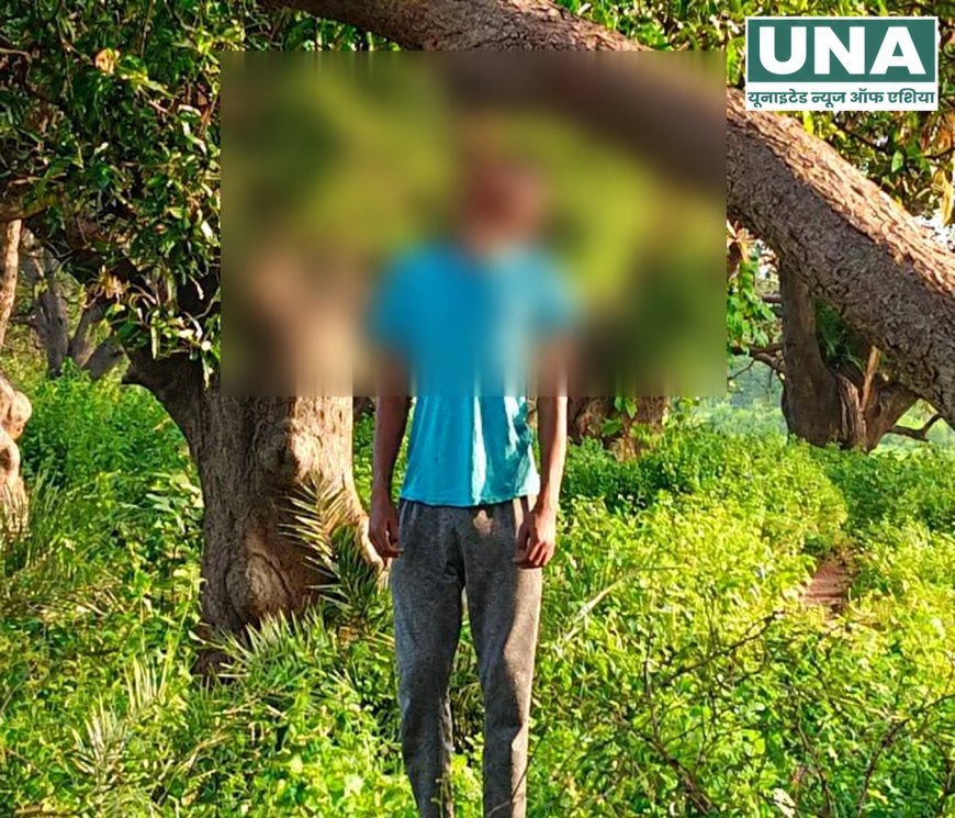 गरियाबंद में 19 वर्षीय युवक ने पेड़ पर फांसी लगाकर की आत्महत्या, जांच में जुटी पुलिस