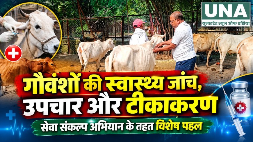 सेवा संकल्प अभियान के तहत गौवंशों की स्वास्थ्य जांच, उपचार और टीकाकरण