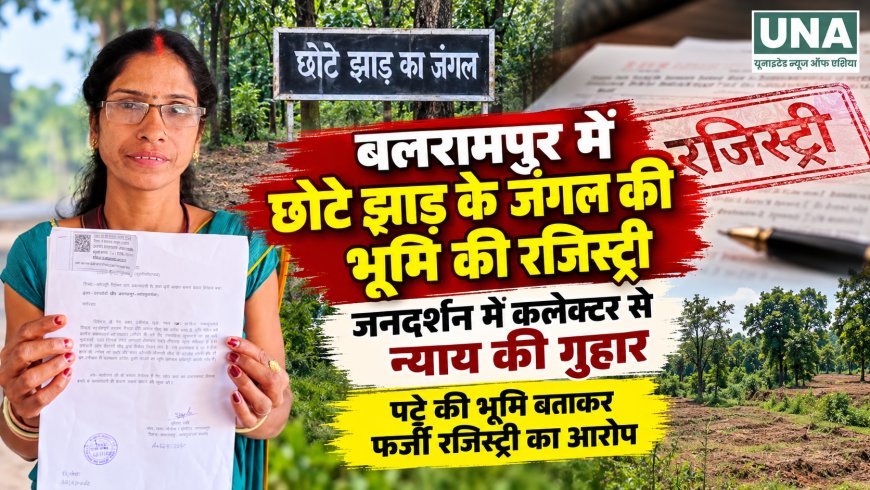 बलरामपुर में छोटे झाड़ के जंगल की जमीन की रजिस्ट्री का आरोप, जनदर्शन में कलेक्टर से न्याय की गुहार