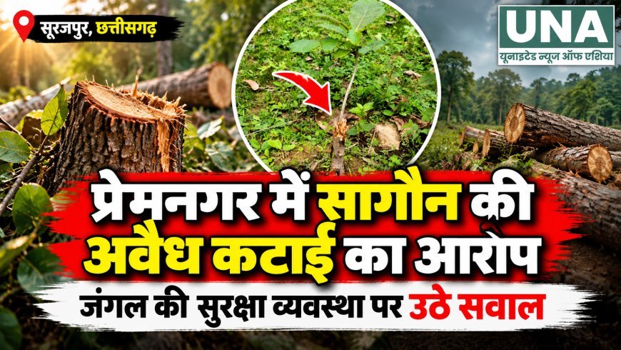 प्रेमनगर के जंगल में सागौन की कथित अवैध कटाई, ग्रामीणों ने वन विभाग से जांच की मांग की