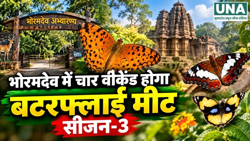 भोरमदेव में चार वीकेंड होगा बटरफ्लाई मीट सीजन-3, तितलियों की दुनिया से रूबरू होंगे प्रकृति प्रेमी