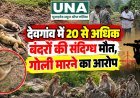 देवगांव में 20 से अधिक बंदरों की संदिग्ध मौत, गोली मारने का आरोप