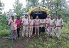 केसली में वन विभाग की बड़ी कार्रवाई, सागौन तस्करी में तीन दर्जन आरोपियों पर प्रकरण दर्ज