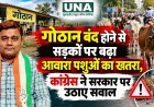 गोठान बंद होने से सड़कों पर बढ़ा आवारा पशुओं का खतरा, कांग्रेस ने सरकार पर उठाए सवाल