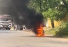 कटघोरा में नई इलेक्ट्रिक स्कूटी में लगी आग, एक किलोमीटर बाद हादसा; पति-पत्नी बाल-बाल बचे