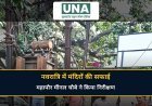 रायपुर: नवरात्रि में मंदिरों के आसपास स्वच्छता सर्वोच्च प्राथमिकता, महापौर मीनल चौबे ने किया निरीक्षण