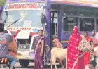 त्योहारी सीजन में महंगाई का झटका, छत्तीसगढ़ में बस किराया 40% तक बढ़ा