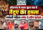 कोंडागांव के बस्तर बुडरा गांव में तेंदुए का हमला, गर्भवती महिला समेत 5 लोग घायल