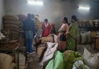 बलरामपुर में PDS चावल में मिले कंकड़-पत्थर, 502 हितग्राहियों की राशन व्यवस्था पर उठे सवाल