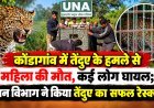 कोंडागांव में तेंदुए के हमले से महिला की मौत, कई लोग घायल; वन विभाग ने किया तेंदुए का सफल रेस्क्यू