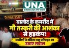 बालोद के कमरौद में गौ तस्करी की आशंका से हड़कंप, ग्रामीणों ने संदिग्ध पशु परिवहन पर उठाए सवाल