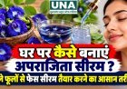 घर पर कैसे बनाएं अपराजिता सीरम? नीले फूलों से फेस सीरम तैयार करने का आसान तरीका