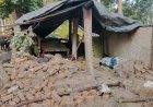 मुंगेली: वनांचल क्षेत्र के जमुनाही गांव में हाथियों का उत्पात, घर क्षतिग्रस्त और मवेशियों की मौत