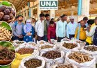 धमतरी की श्यामतराई वनोपज मंडी में औषधीय उत्पादों का कारोबार बढ़ा, 60 हजार रुपये से अधिक की खरीदी