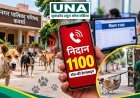 कवर्धा में आवारा कुत्तों की समस्या पर नगर पालिका की पहल, शिकायत के लिए डायल करें हेल्पलाइन नंबर 1100