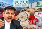 RTI में 77,402 मीट्रिक टन अमानक चावल खारिज होने का खुलासा, FCI और मार्कफेड की जवाबदेही पर उठे सवाल