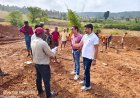 जनपद सीईओ ने चांची पंचायत में किया औचक निरीक्षण, डबरी निर्माण स्थल पर 40 मजदूरों की ऑनलाइन उपस्थिति दर्ज