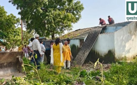 सिंगरौली में अतिक्रमण पर चला प्रशासन का बुलडोजर, शासकीय भूमि कराई कब्जामुक्त