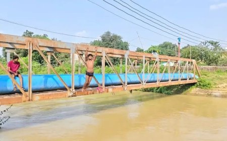 कोरबा के कोहड़िया नहर में बच्चों की खतरनाक मस्ती, पुल से छलांग लगाते नजर आए बच्चे