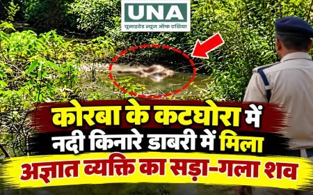 कोरबा के कटघोरा में नदी किनारे डाबरी में मिला अज्ञात व्यक्ति का सड़ा-गला शव