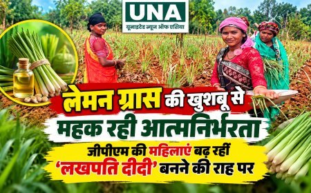 लेमन ग्रास की खेती से आत्मनिर्भर बन रहीं जीपीएम की महिलाएं, ‘लखपति दीदी’ बनने की राह पर बढ़े कदम
