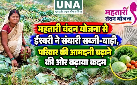 महतारी वंदन योजना से ईश्वरी ने संवारी सब्जी-बाड़ी, परिवार की आमदनी बढ़ाने की ओर बढ़ाया कदम
