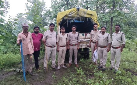 केसली में वन विभाग की बड़ी कार्रवाई, सागौन तस्करी में तीन दर्जन आरोपियों पर प्रकरण दर्ज