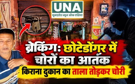 ब्रेकिंग: छोटेडोंगर में चोरों का आतंक, किराना दुकान का ताला तोड़कर चोरी