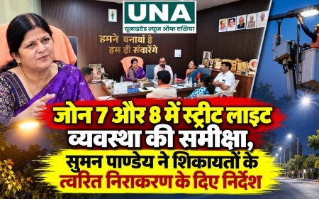 जोन 7 और 8 में स्ट्रीट लाइट व्यवस्था की समीक्षा, सुमन पाण्डेय ने शिकायतों के त्वरित निराकरण के दिए निर्देश
