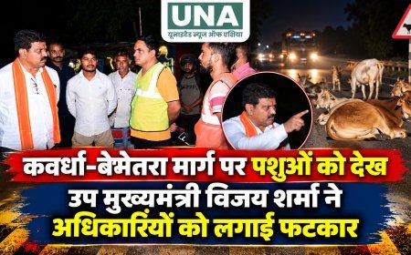 कवर्धा-बेमेतरा मार्ग पर पशुओं को देख उप मुख्यमंत्री विजय शर्मा ने अधिकारियों को लगाई फटकार