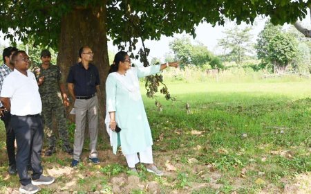 पोलमी के खेत में पहुंचीं कलेक्टर तुलिका प्रजापति, नॉन-डीसीएस फसलों के सत्यापन का किया निरीक्षण