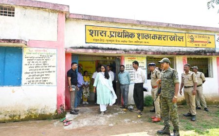 वनांचल ग्राम कमराखोल में कलेक्टर ने परखी योजनाओं की जमीनी हकीकत, स्कूल और आवास का किया निरीक्षण