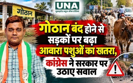 गोठान बंद होने से सड़कों पर बढ़ा आवारा पशुओं का खतरा, कांग्रेस ने सरकार पर उठाए सवाल