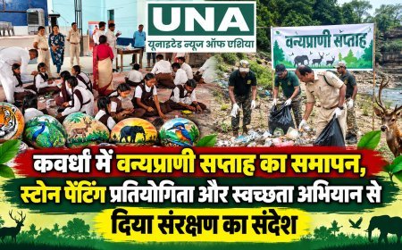 कवर्धा में वन्यप्राणी सप्ताह का समापन, स्टोन पेंटिंग प्रतियोगिता और स्वच्छता अभियान से दिया संरक्षण का संदेश