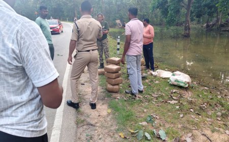 गरियाबंद में 60 किलो गांजा बरामद, बैरिकेड तोड़कर भागी कार गड्ढे में घुसी; तस्कर फरार