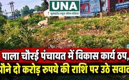 पाला चौरई पंचायत में विकास कार्य ठप, पौने दो करोड़ रुपये की राशि पर उठे सवाल