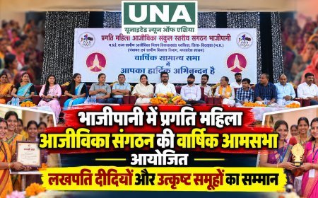 भाजीपानी में प्रगति महिला आजीविका संगठन की वार्षिक आमसभा आयोजित, लखपति दीदियों और उत्कृष्ट समूहों का सम्मान
