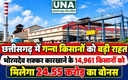 छत्तीसगढ़ में गन्ना किसानों को बड़ी राहत, भोरमदेव शक्कर कारखाने के 14,961 किसानों को मिलेगा 24.55 करोड़ का बोनस