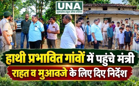 हाथी प्रभावित गांवों में पहुंचे मंत्री राजेश अग्रवाल, ग्रामीणों को जल्द मुआवजा दिलाने के निर्देश