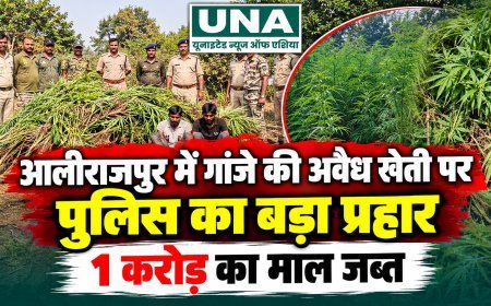 आलीराजपुर में अवैध गांजा खेती पर पुलिस की बड़ी कार्रवाई, दो खेतों से 2,040 पौधे जब्त, कीमत करीब 1 करोड़ रुपये