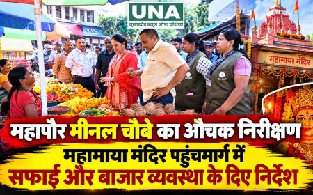 रायपुर में महापौर मीनल चौबे का महामाया मंदिर पहुंचमार्ग पर औचक निरीक्षण, सफाई और यातायात व्यवस्था सुधारने के निर्देश