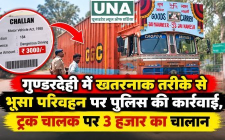 गुण्डरदेही में खतरनाक तरीके से भूसा परिवहन पर पुलिस की कार्रवाई, ट्रक चालक पर 3 हजार का चालान