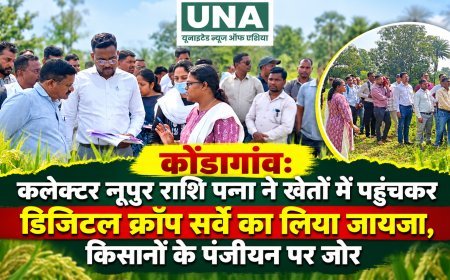 कोंडागांव: कलेक्टर नूपुर राशि पन्ना ने खेतों में पहुंचकर डिजिटल क्रॉप सर्वे का लिया जायजा, किसानों के पंजीयन पर जोर