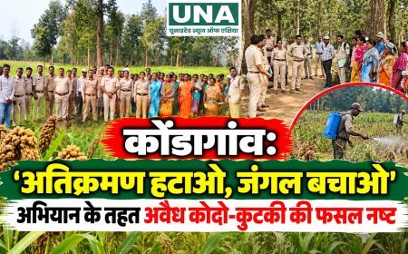 कोंडागांव: ‘अतिक्रमण हटाओ, जंगल बचाओ’ अभियान के तहत अवैध कोदो-कुटकी की फसल नष्ट