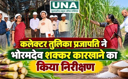 भोरमदेव शक्कर कारखाने का कलेक्टर तुलिका प्रजापति ने किया निरीक्षण