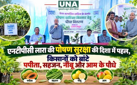 एनटीपीसी लारा की पोषण सुरक्षा की दिशा में पहल, किसानों को बांटे पपीता, सहजन, नींबू और आम के पौधे