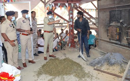 कबीरधाम पुलिस की बड़ी कार्रवाई: 5.10 करोड़ रुपये का 997 किलो से अधिक गांजा किया नष्ट